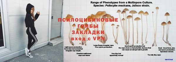 ПСИЛОЦИБИНОВЫЕ ГРИБЫ Нягань