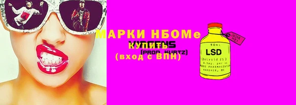 прущая мука Няндома