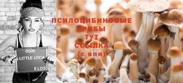 ПСИЛОЦИБИНОВЫЕ ГРИБЫ Нягань
