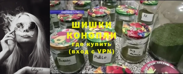 ПСИЛОЦИБИНОВЫЕ ГРИБЫ Нягань