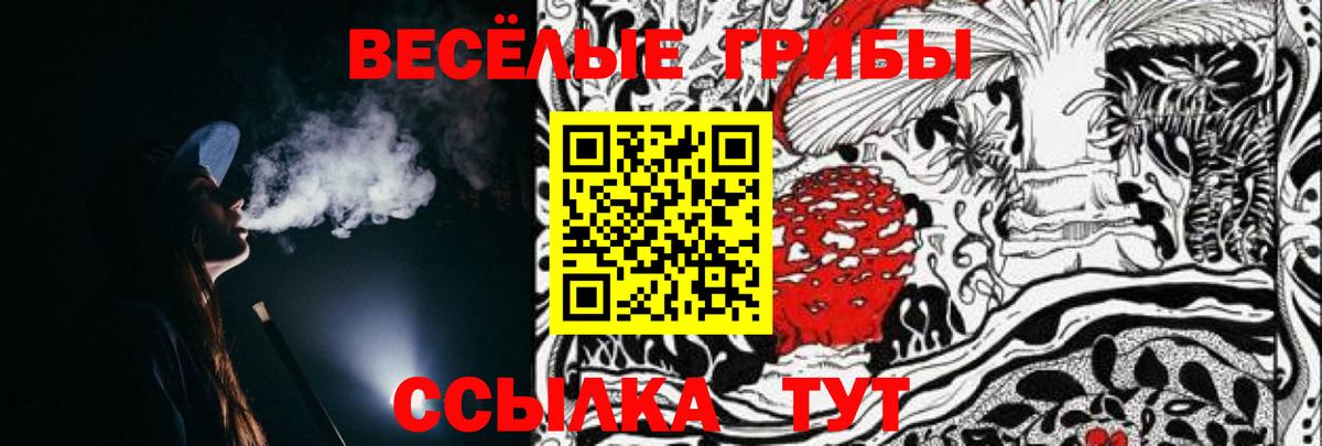 Галлюциногенные грибы MAGIC MUSHROOMS  Псилоцибиновые грибы Psilocybe  Прокопьевск  Вход с VPN 
