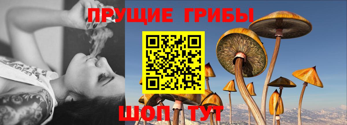 Псилоцибиновые грибы мухоморы Прокопьевск